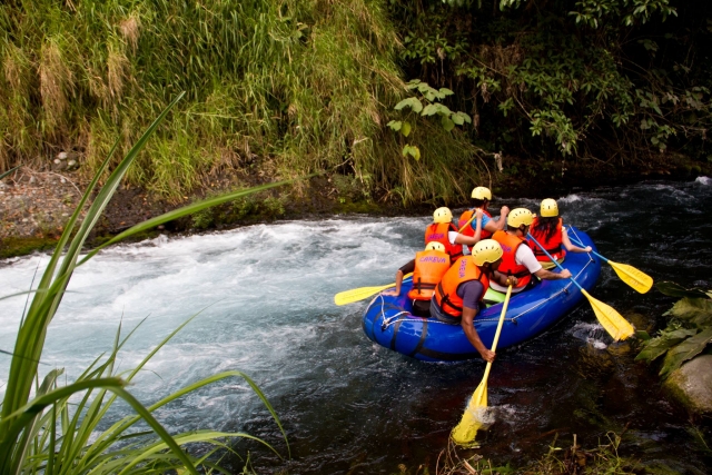 Remando en rafting